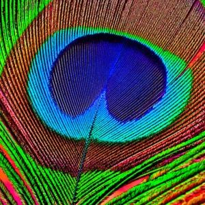 Meet your Posher, Ann